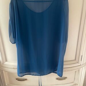 BCBG Sheer Blue Blouse